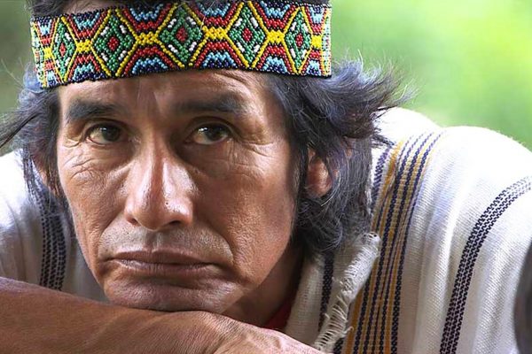 Defensor Ambiental Indigena